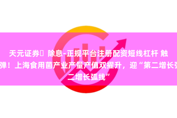 天元证券‌除息-正规平台注册配资短线杠杆 触底反弹！上海食用菌产业产量产值双擢升，迎“第二增长弧线”